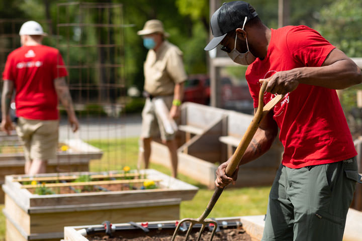 Voluntários da Red Hat cultivando vegetais em jardim comunitário.
